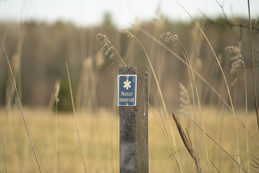File:Botkyrka kommun - Hörningsnäs naturreservat - 2026-05-30 21-38-02 001.jpg