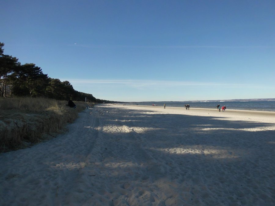 Sandstrand an der Ostseeküste Vorpommerns mit Kiefern und Meer