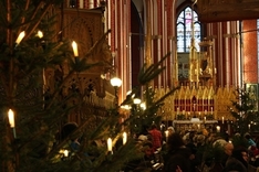 Doberaner Münster im Adventsschmuck