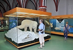 Familienausflugsziel Meeresmuseum Stralsund