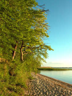 Achterland der Ostsee-Insel Usedom (Foto © nordlicht verlag)