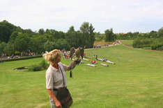 Ausflugsziel Ostsee Vogelpark Marlow