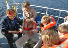 Auf der 'MS Sagitta' (Foto: Kurbetrieb Laboe)