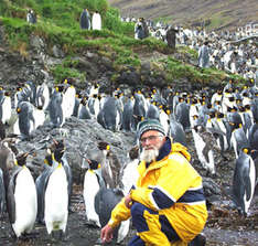 Dr. Karl-Heinz Tschiesche inmitten von Pinguinen (Foto: Tschiesche/DMM)