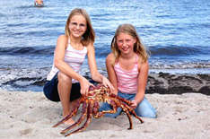 Sabrina und Christina zeigen keine Scheu vor der imposanten Krabbe (Foto: Sea Life Deutschland)