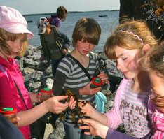 Ausflugsziele Ostsee Meeresmuseum Stralsund