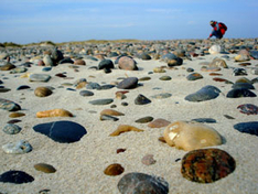 Ausflugsziele Ostsee Meeresmuseum Stralsund