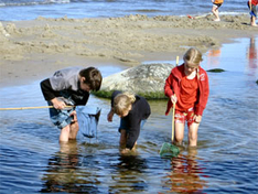 Familien-Ausflugsziele Insel Rügen