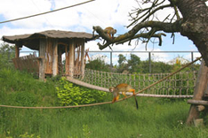 Ausflugsziel Ostsee Vogelpark Marlow