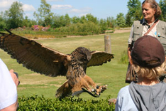 Ausflugsziele Ostsee Vogelpark Marlow