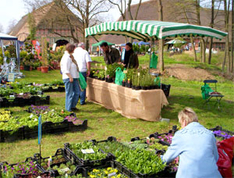 Gärtnermarkt Freilichtmuseum Molfsee