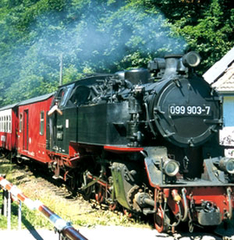 Ausflug Ostsee Dampfzug Molli