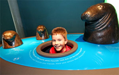 Ozeaneum Stralsund beliebtes Ostsee-Auslfugsziel