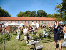 Urlaub Insel Rügen