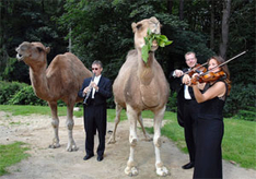 12. Klassik-Nacht Zoo Rostock Kartenvorverkauf