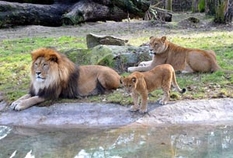 Ausflugsziele Ostsee Zoo Rostock