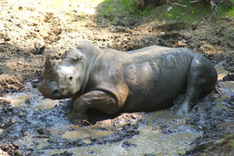 Ausflugsziele Ostsee Zoo Schwerin