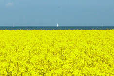 Zur Sommerfrische auf die Insel Fehmarn (Foto: nordlicht verlag)