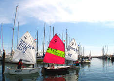 Segeln auf der Ostsee (Foto: segel*küste)