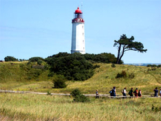 Veranstaltungen Rügen und Hiddensee