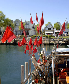 16. Warnemünder Stromerwachen