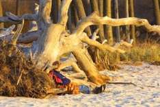 Herbst-Urlaub an der Ostsee am Darßer Weststrand (Foto © Uwe Engler/TV FDZ)