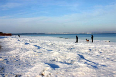 Winterurlaub Ostsee Rügen