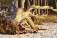 Darßer Weststrand (Foto: Uwe Engler/TV FDZ)