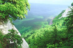 Blick vom Königsstuhl über die Ostsee (Foto: Nationalpark-Zentrum Königsstuhl)