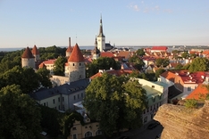 Blick auf die Altstadt