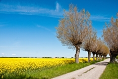 Landschaft in Südschweden