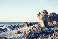 Kalkfelsen auf Gotland