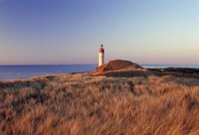 Leuchtturm auf der Insel Anholt im Kattegat in der Ostsee