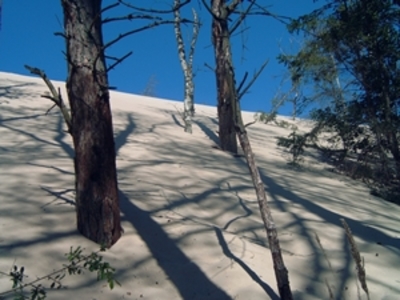 Wanderdüne bei Leba