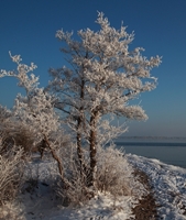 USEDOM exclusiv mit Online-Ausgabe