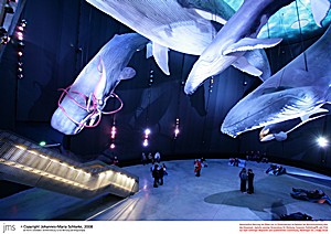 Im Ozeaneum Stralsund, ein beliebtes Ausflugsziel für Ostsee-Urlauber,  ist die Ausstellung 1:1 Riesen der Meere zu sehen