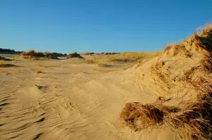 Wanderdüne auf der Kurischen Nehrung in Litauen, die zum UNESCO Welterbe gehört