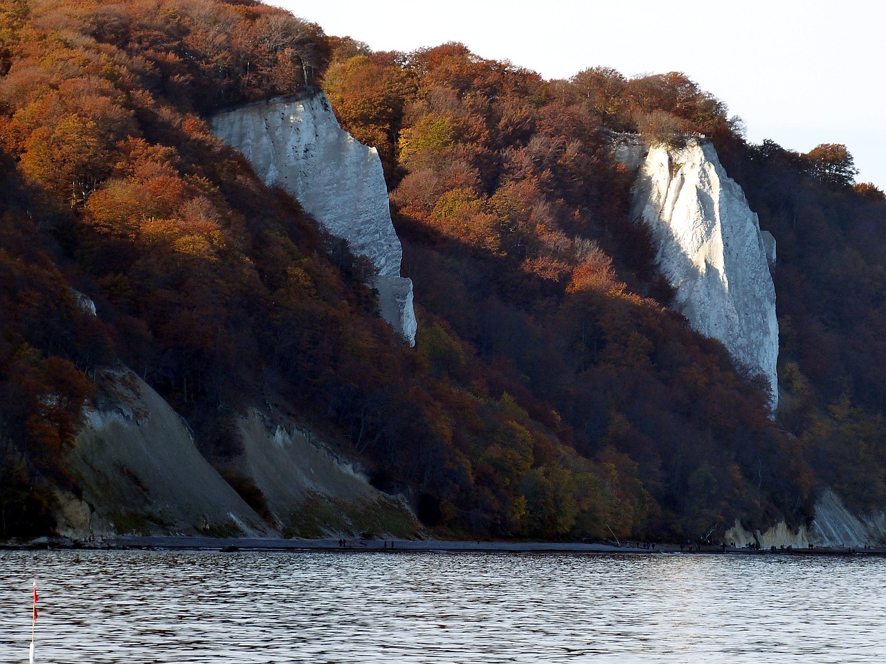 Eine Wanderung durch den bunt gefärbten Buchenwald im Nationalpark Jasmund auf Rügen ist ein besonderes Erlebnis