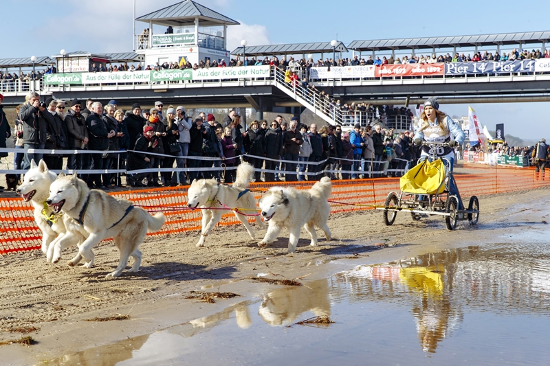 Ein Hauch von Alaska auf Usedom – Baltic Lights 2018