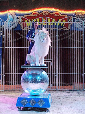 Circus William auf der Insel Usedom