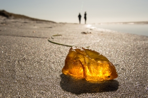 Bernstein am Strand