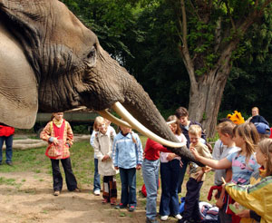 /resources/preview/103/ausflug/mecklenburg/rostock-zoo.jpg