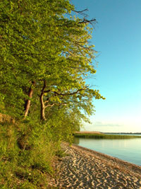 Achterland der Ostsee-Insel Usedom (Foto © nordlicht verlag)