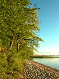 Am Achterwasser bei Pudagla (Foto: nordlicht verlag)