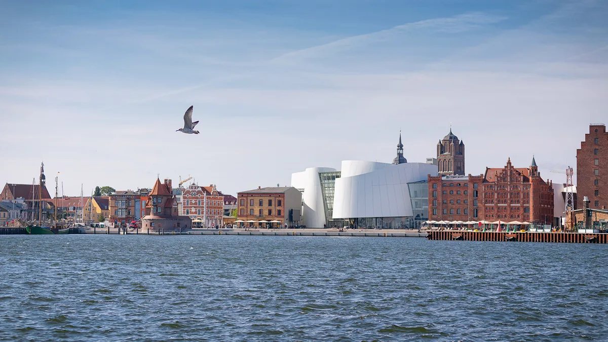 OZEANEUM an der Stralsunder Hafenseite mit Altstadt, Wasser und einer Möwe