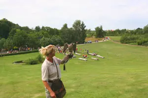 Ausflugsziel Ostsee Vogelpark Marlow