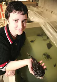 OZEANEUM-Mitarbeiterin Bianca Komitsch mit einem Seeteufel (Foto: Christian Rödel)