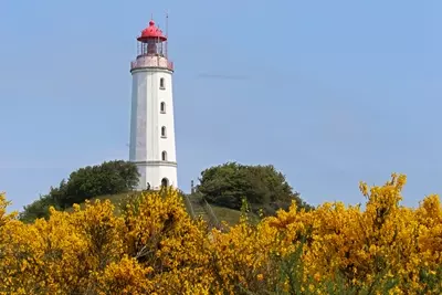 Leuchtturm auf Hiddensee