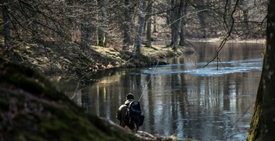 Der Fluss Mörrumsån