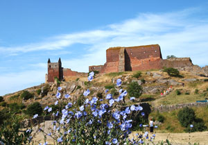 Festung Hammershus auf Bornholm, Ziel der vierten Etappe des Bornholmer Etappen-Marathons auf der Ostseeinsel